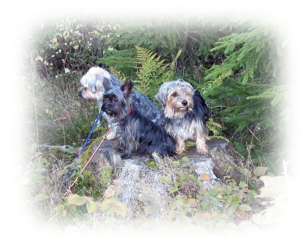 Unsere 3 Bild von unseren 3en